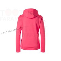 شیلد طبیعت گردی 